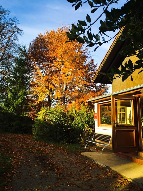 Le Chalet Luttenbach-près-Munster Eksteriør billede