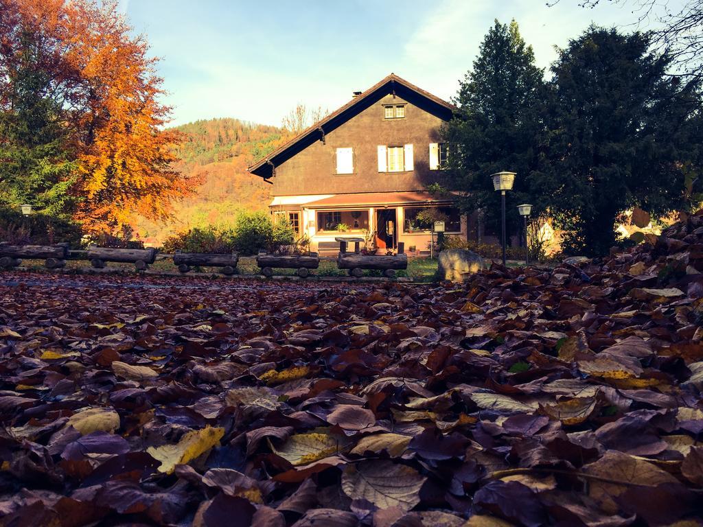 Le Chalet Luttenbach-près-Munster Eksteriør billede